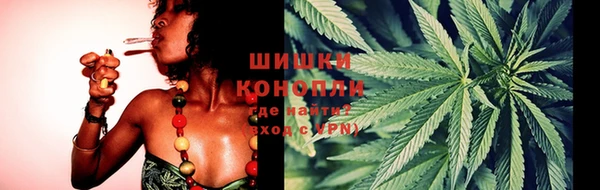 PSILOCYBIN Медвежьегорск