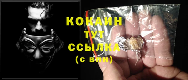 PSILOCYBIN Медвежьегорск