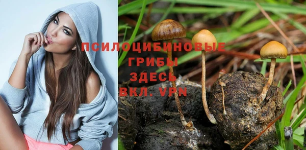 каннабис Медногорск