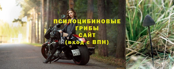 PSILOCYBIN Медвежьегорск