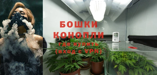 PSILOCYBIN Медвежьегорск
